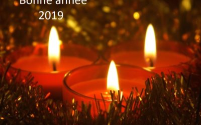 Bonne année 2019